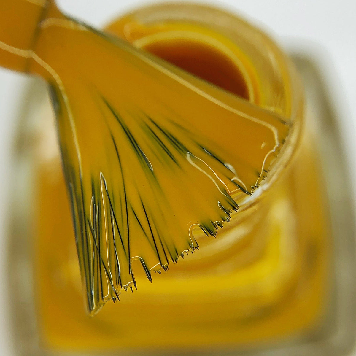 Hit the Bottle- Roads less Travelled- Pinnacles Desert