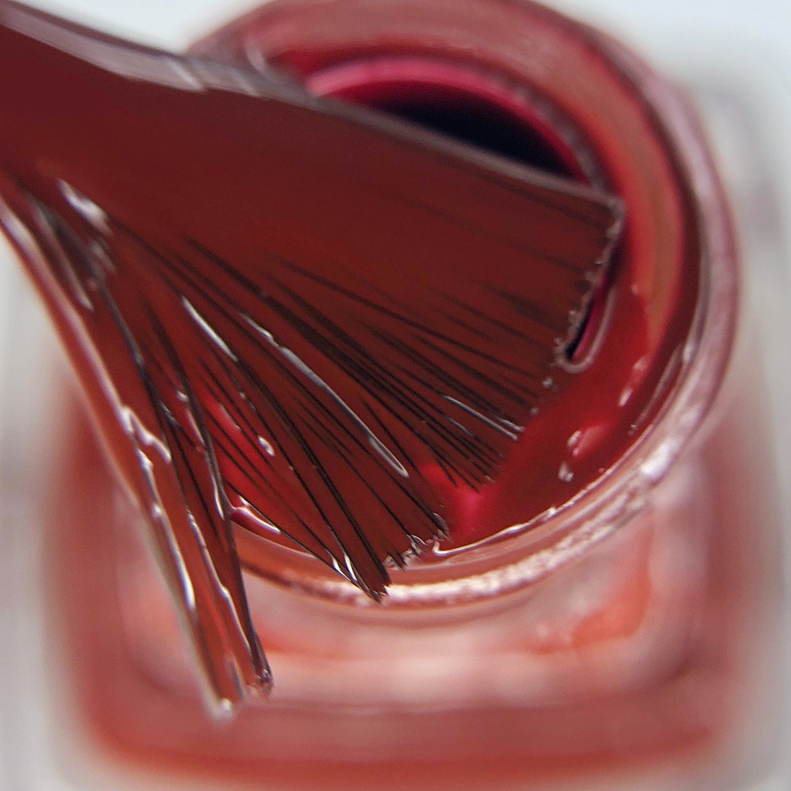 Hit the Bottle- Roads less Travelled- Cape Leveque