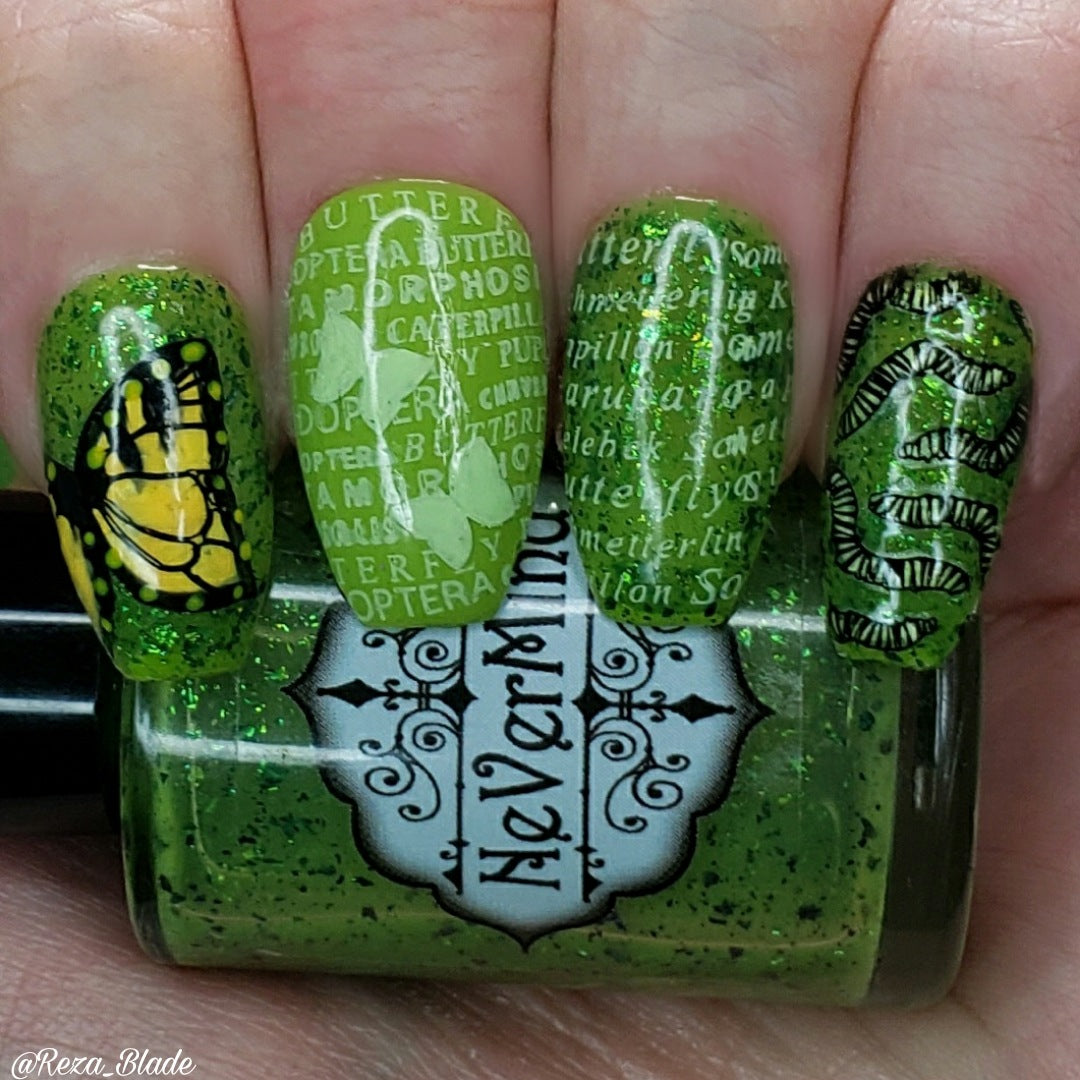 Beautometry Plates + &#39;Ard as Nails Polish Bundle