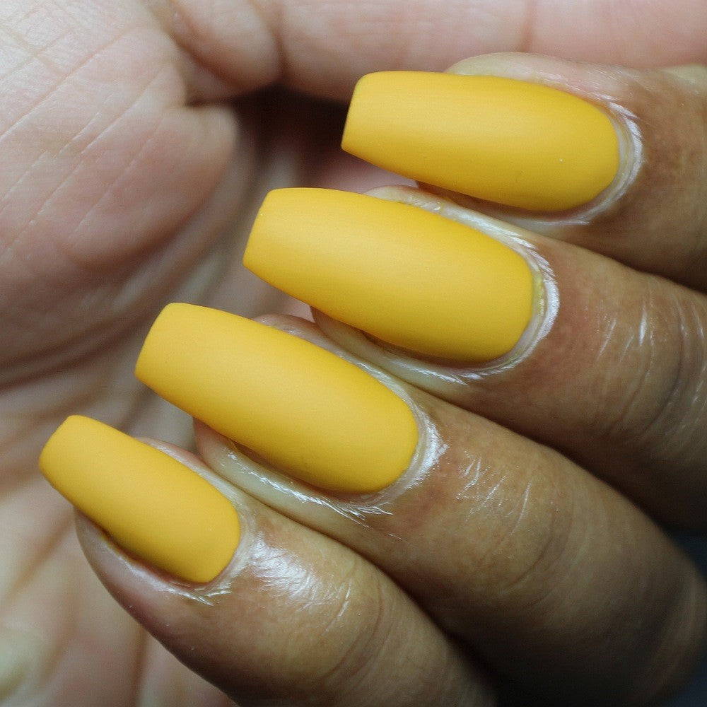 Hit the Bottle- Roads less Travelled- Pinnacles Desert