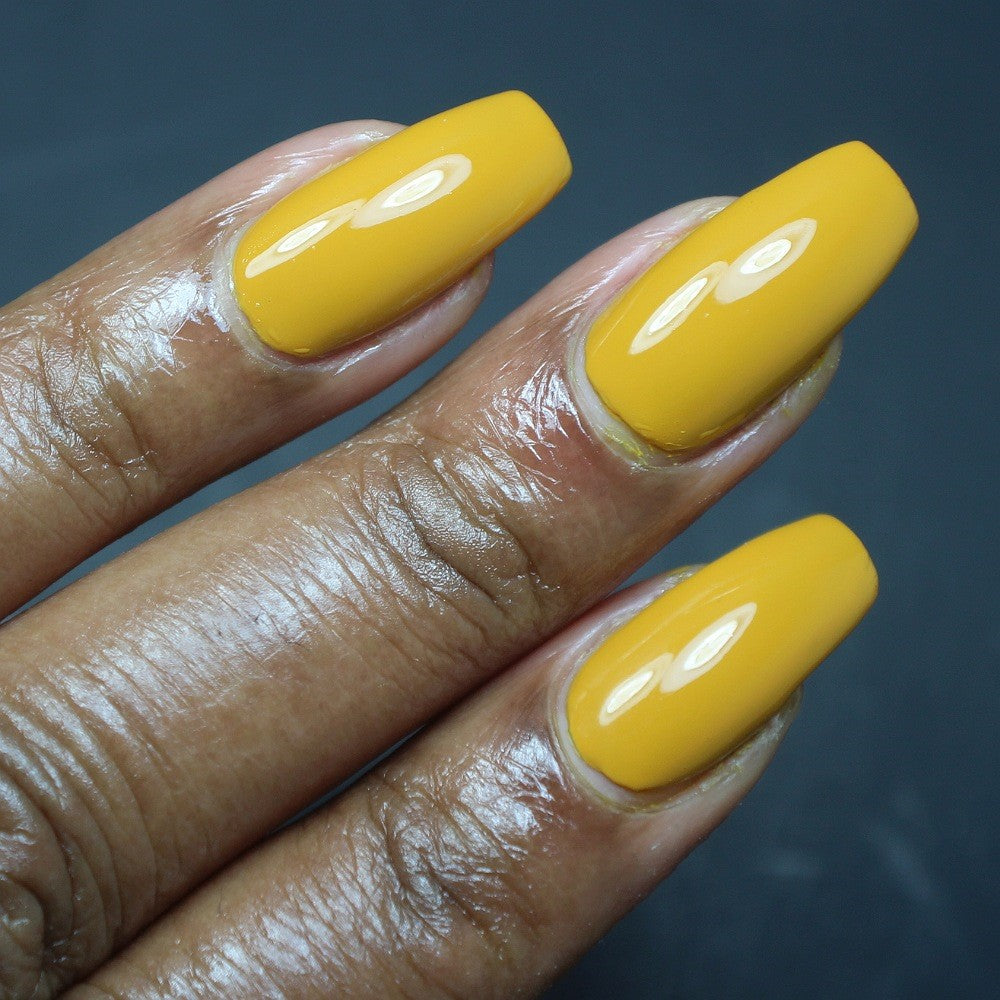 Hit the Bottle- Roads less Travelled- Pinnacles Desert