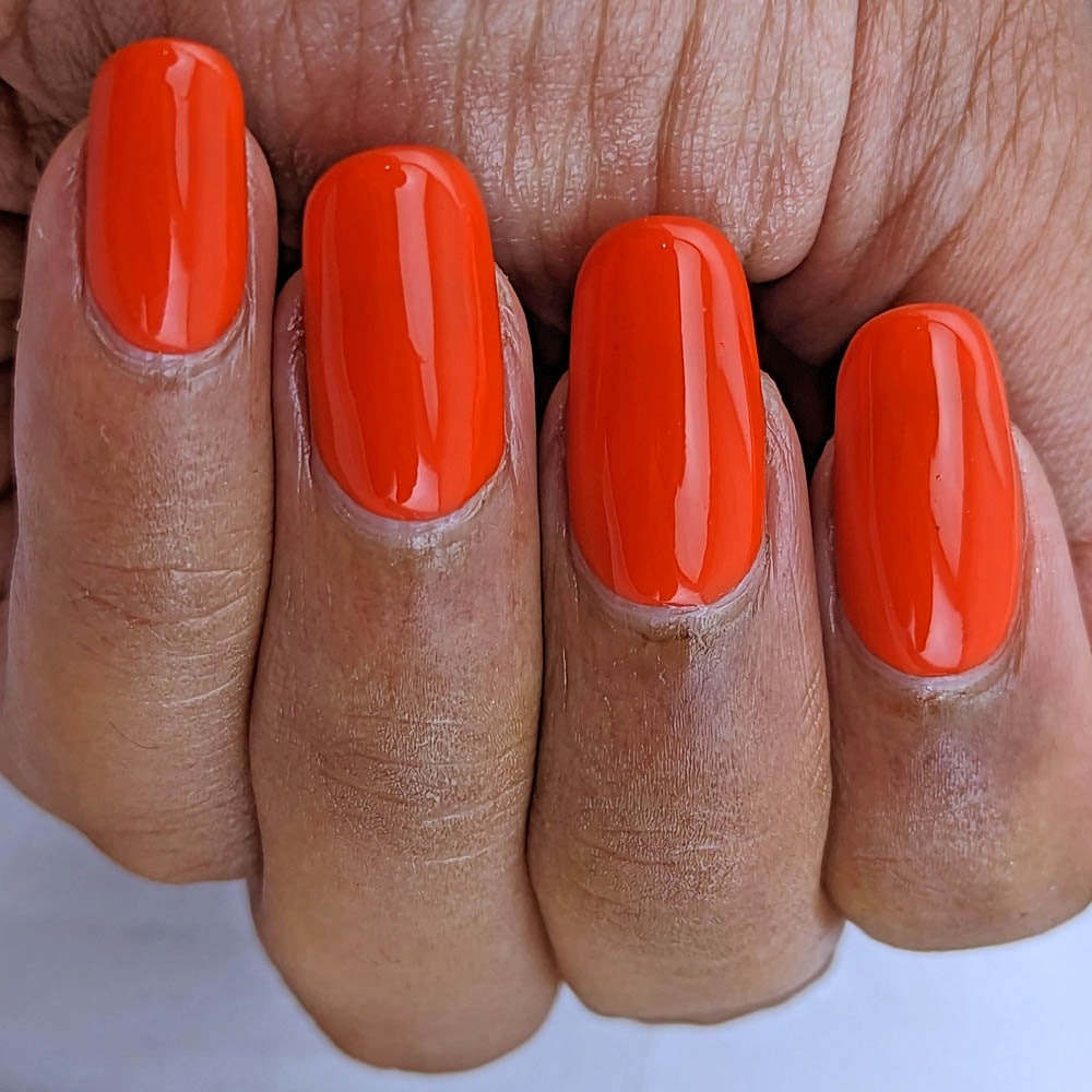 Hit the Bottle- Roads less Travelled- Remarkable Rocks