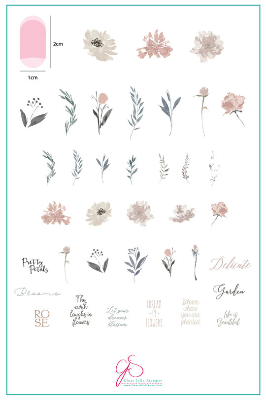 Clear Jelly Stamper- CjS-081- Watercolour Garden