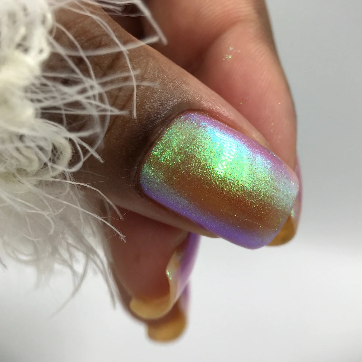 Phoenix- Elves- Elanor