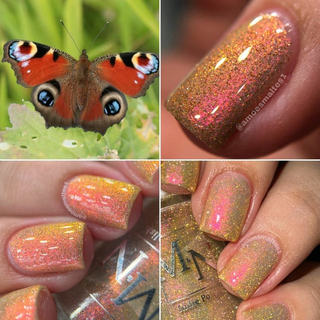 M&N Indie Polish- Insecta- Peacock Butterfly